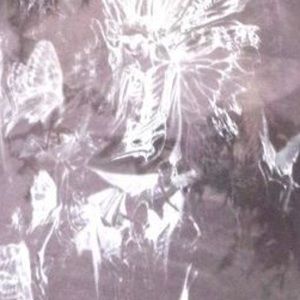 Meet your Posher, Phoenix